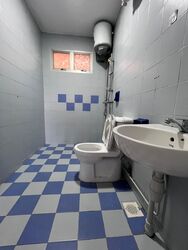 Blk 497D Tampines Street 45 (Tampines), HDB Executive #587978191
